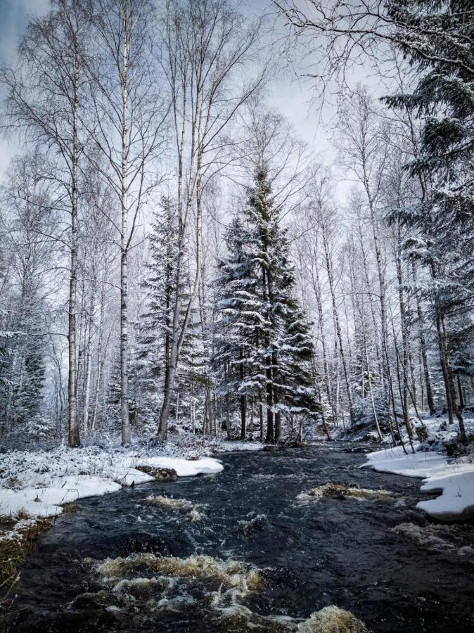 Вилла Venejoen Piilo - Paere Kontiolahti Экстерьер фото